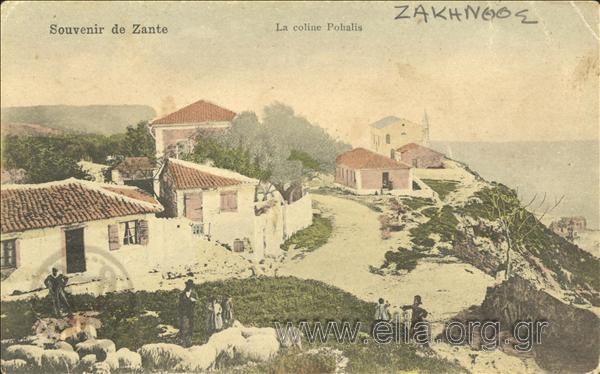 Souvenir de Zante. La coline Pohalis.