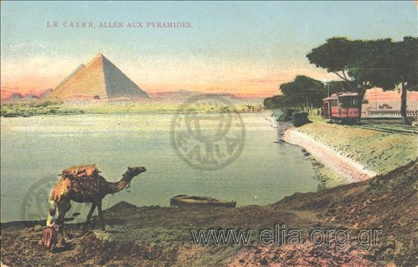 Le Caire. Allée aux Pyramides.