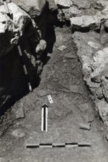 Όστρακα πιθοειδούς υπό Α τοίχον «δωματίου 1». Αριστερά ο περίβολος του ΜΕ Ι τύμβου.
