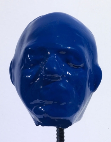 Blue Head