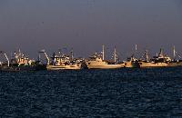 Αλιευτικά σκάφη στη Χαλκιδική