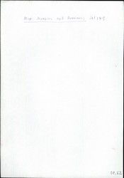 Index card of Nazi victim index of Jew