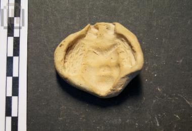 Mould of actor mask