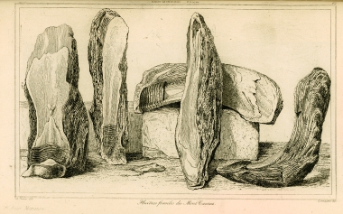 Απολιθωμένα όστρεα που βρέθηκαν στην οροσειρά του Ταύρου.