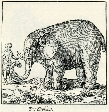 Ελέφαντας.
