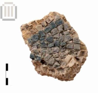 Fragment of wall mosaic with unidentified decoration,probably filling and outlines