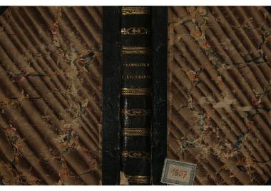 Κλίμαξ της γραμματικής της Ελληνικής γλώσσης: : διασκευασθείσα προς χρήσιν των δημοτικών σχολείων