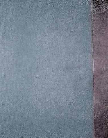 Θεσπίσματα της βενετικής γερουσίας 1281-1385