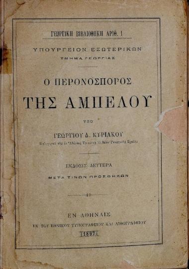 Ο περονόσπορος της αμπέλου