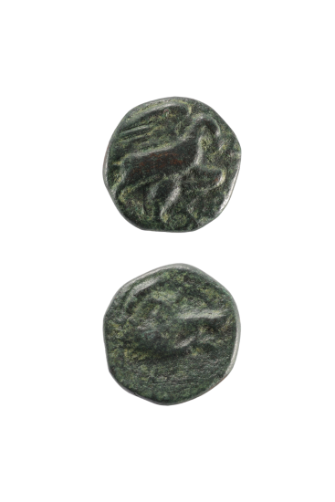 Χάλκινο νόμισμα Λύττου