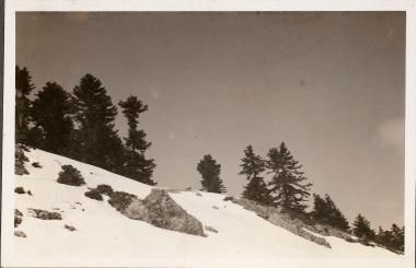 Mt. Cyllene with snow 1937