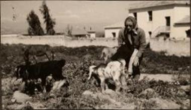 Corinth. Oakley House 1937. Doreen Canaday with dogs.