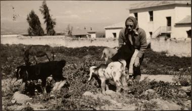 Corinth. Oakley House 1937. Doreen Canaday with dogs.