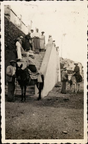 Cyclades, Andros. Mary Hamilton Swindler