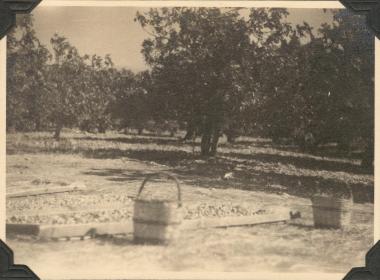 Asia Minor, Heracleia?