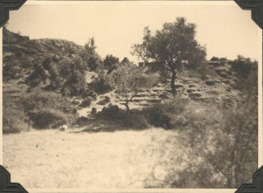 Asia Minor, Heracleia