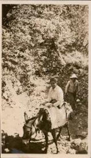 Peloponnese. Langada Pass. Margaret Hill on donkey