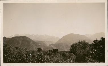 Wheat, oranges, olives and snowcapped mountains near Sparta