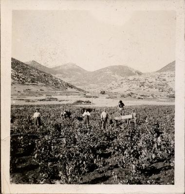 Monastery of Hosios Loukas