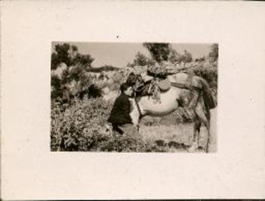 Aegosthena. ASCSA female student on horse