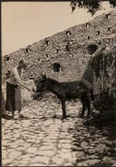 Castle of Palamedi. Woman feeding a donkey in the Castle