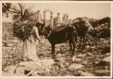 Bassae. Old woman with donkeys among the ruins