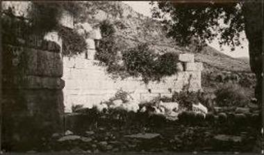 Messene. Stone wall and sheep