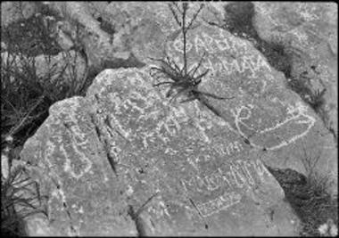 Cyclades, Thera. Inscriptions