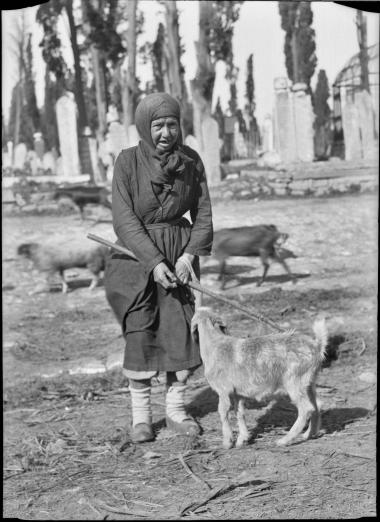 Marmara, Istanbul. Woman with goats