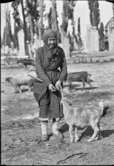 Marmara, Istanbul. Woman with goats