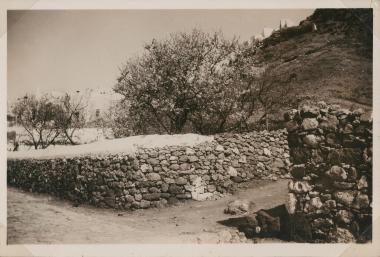 Skyros, almond blossoms