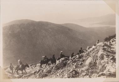 Donkey train on the way to the Corycian Cave