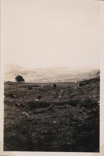 Fields with stone walls and mountain in distance