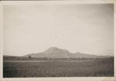 Fields with Acrocorinth in distance