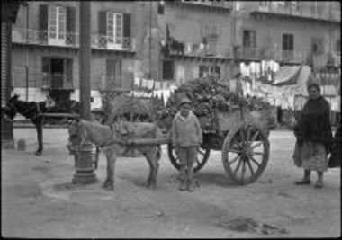 Sicily, Palermo. Sicilian cart