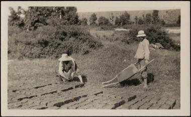 Myriophyto. Making sand bricks
