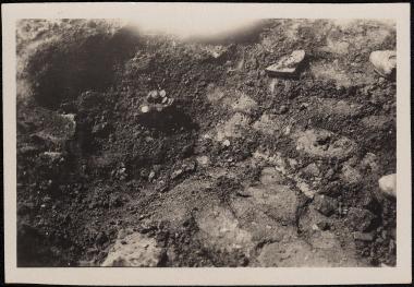 Olynthus Excavations. Hoard of coins