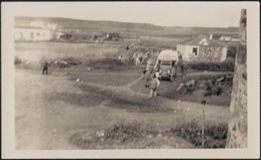 Olynthus Excavations. Myriophyto.