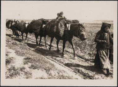 Olynthus Excavations. Vlachs.