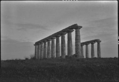 Basilicata, Metapontum. Temple