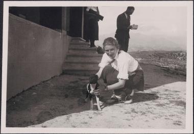 Phaestus. Doreen Canaday