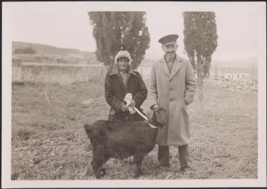 Corinth Excavations. George Kachros