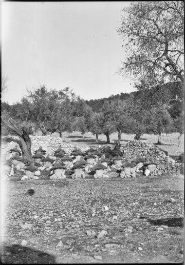 Salamis, Monastery of Saint Nicholas
