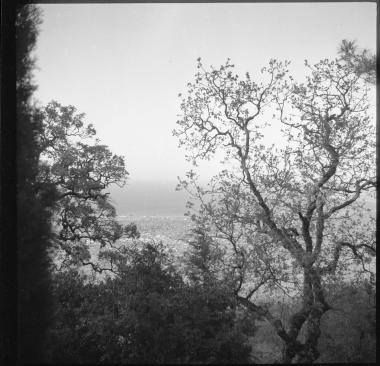 Rhodes. Landscape with village in distance