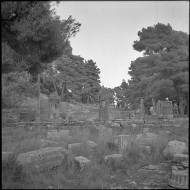 Olympia. Archaeological site