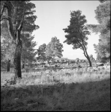 Olympia. Archaeological site