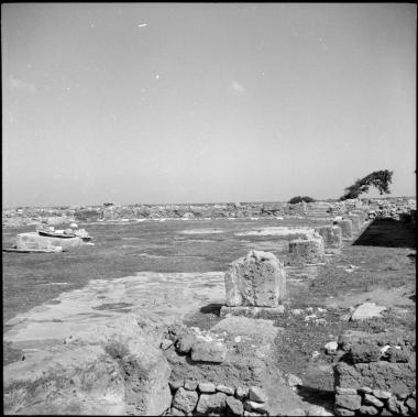 Mallia. North court