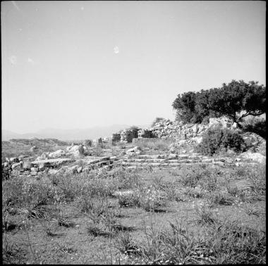 Gournia.Minoan Palace