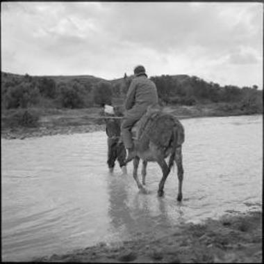Hagia Triada. Crossing river on donkey