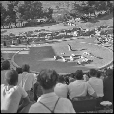 Epidaurus.  Persians